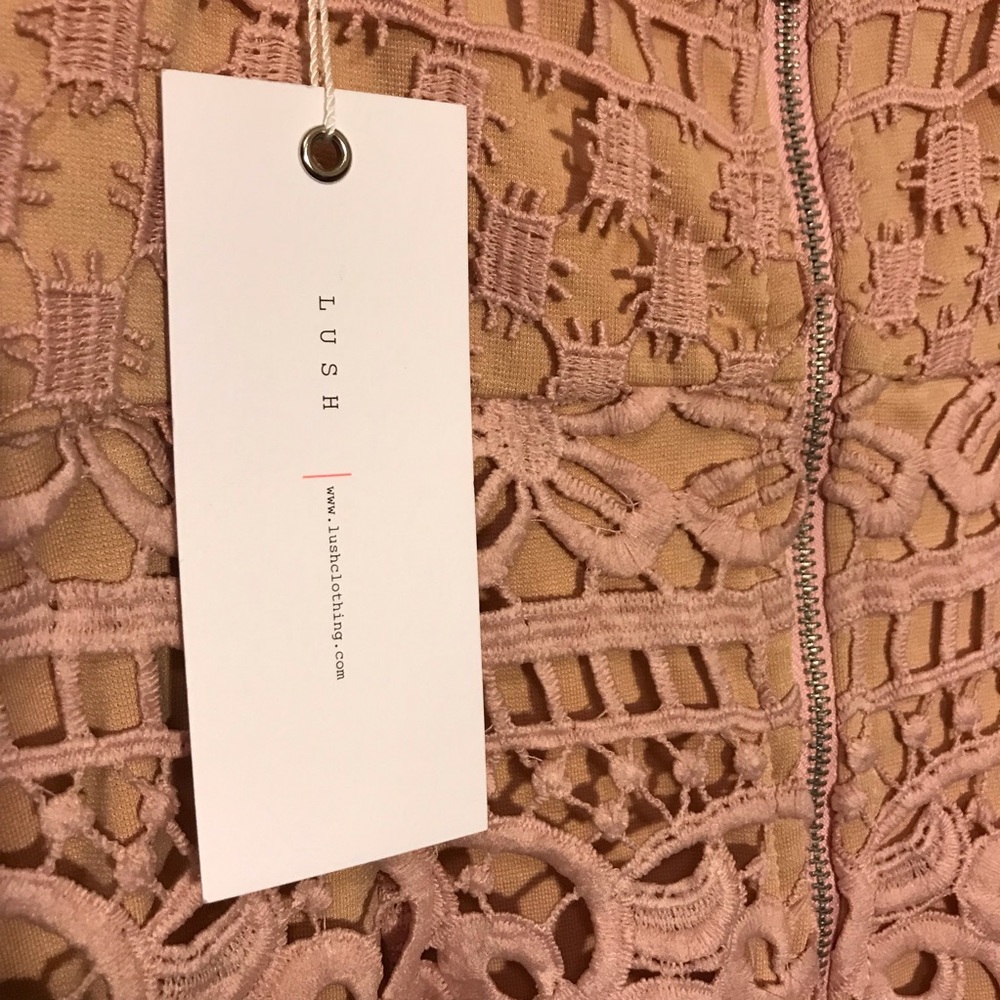 LUSH Dress | Pink Lace Dress - Picture 4 of 6